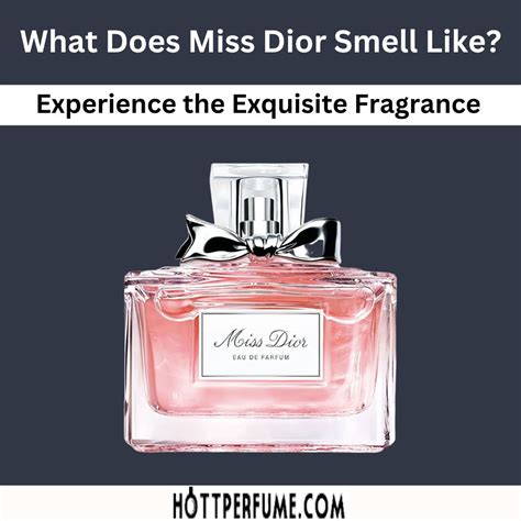 dior miss daisy|what does miss dior perfume smell like.